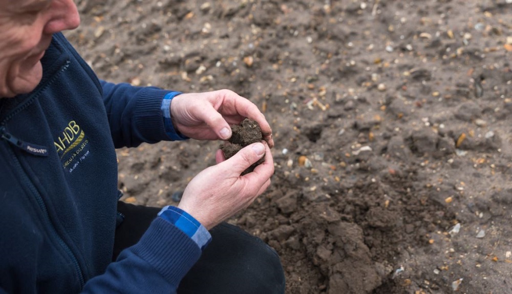 A man inspects the soil in a field with his hands